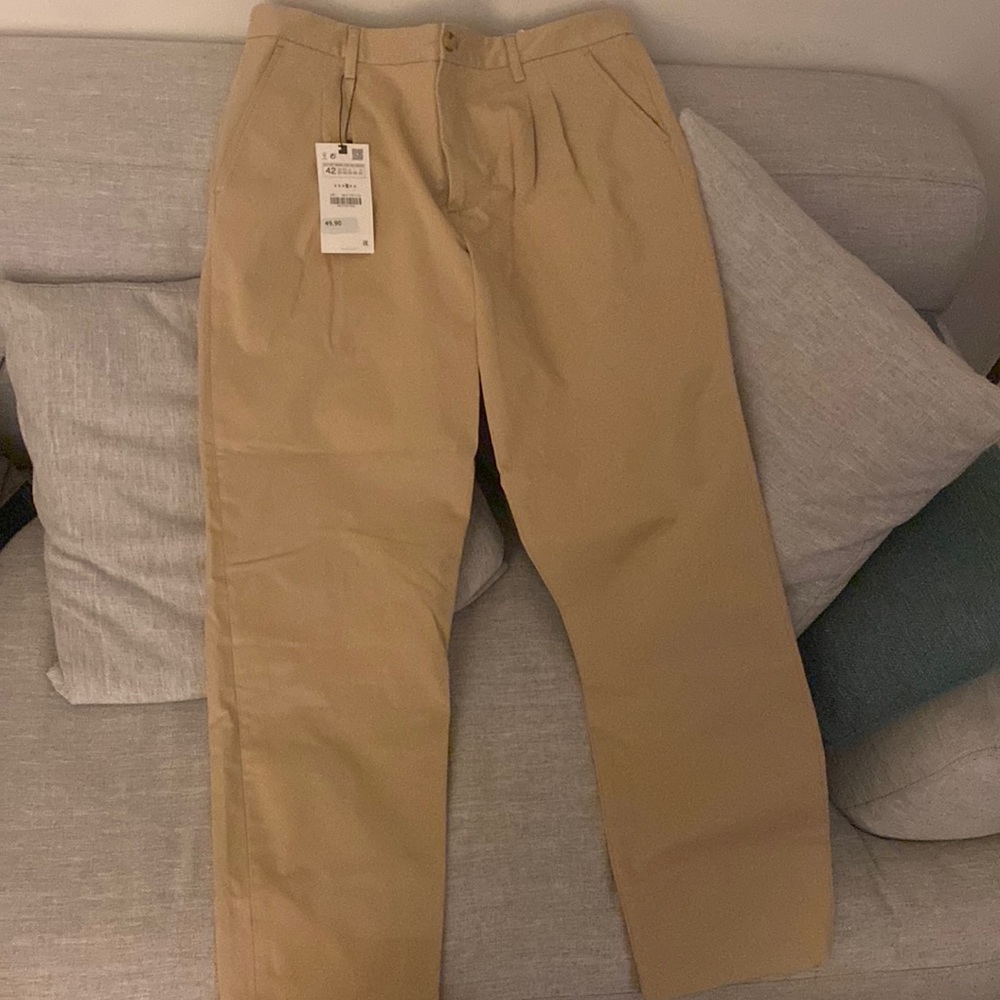 Zara Khaki Pleated Pants
